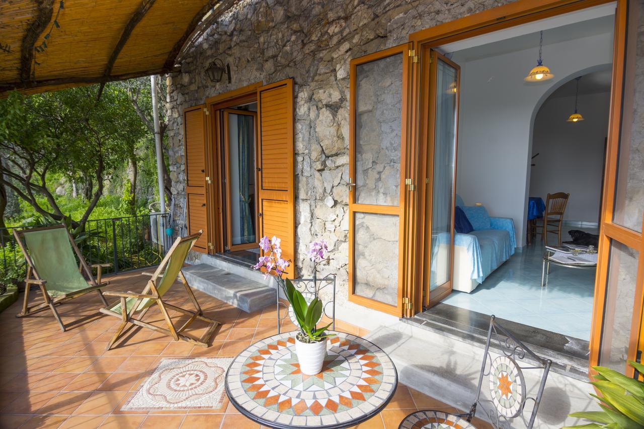 Le Nereidi B&B Positano Bagian luar foto